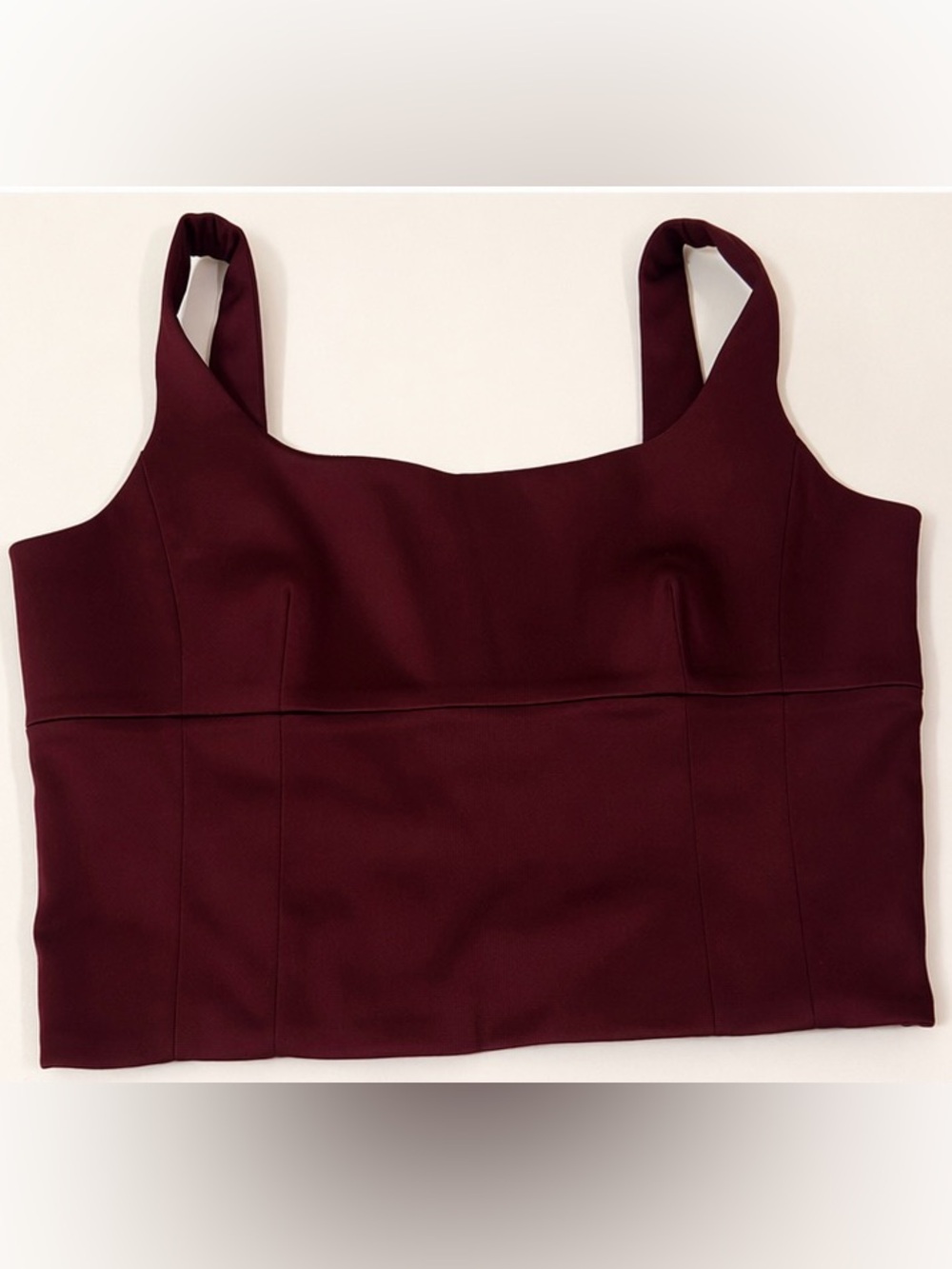 Aritzia Vegan Leather Crop Top